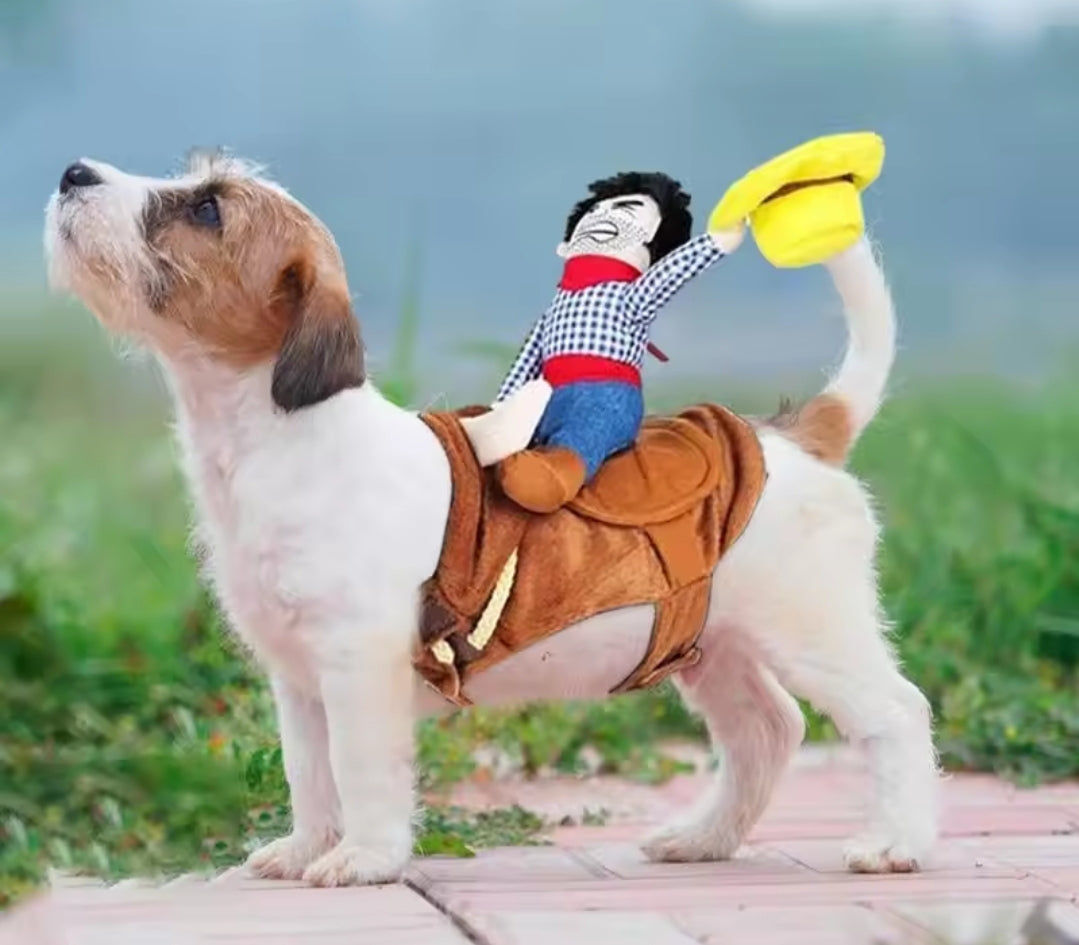 Dog Outfit - Cowboy