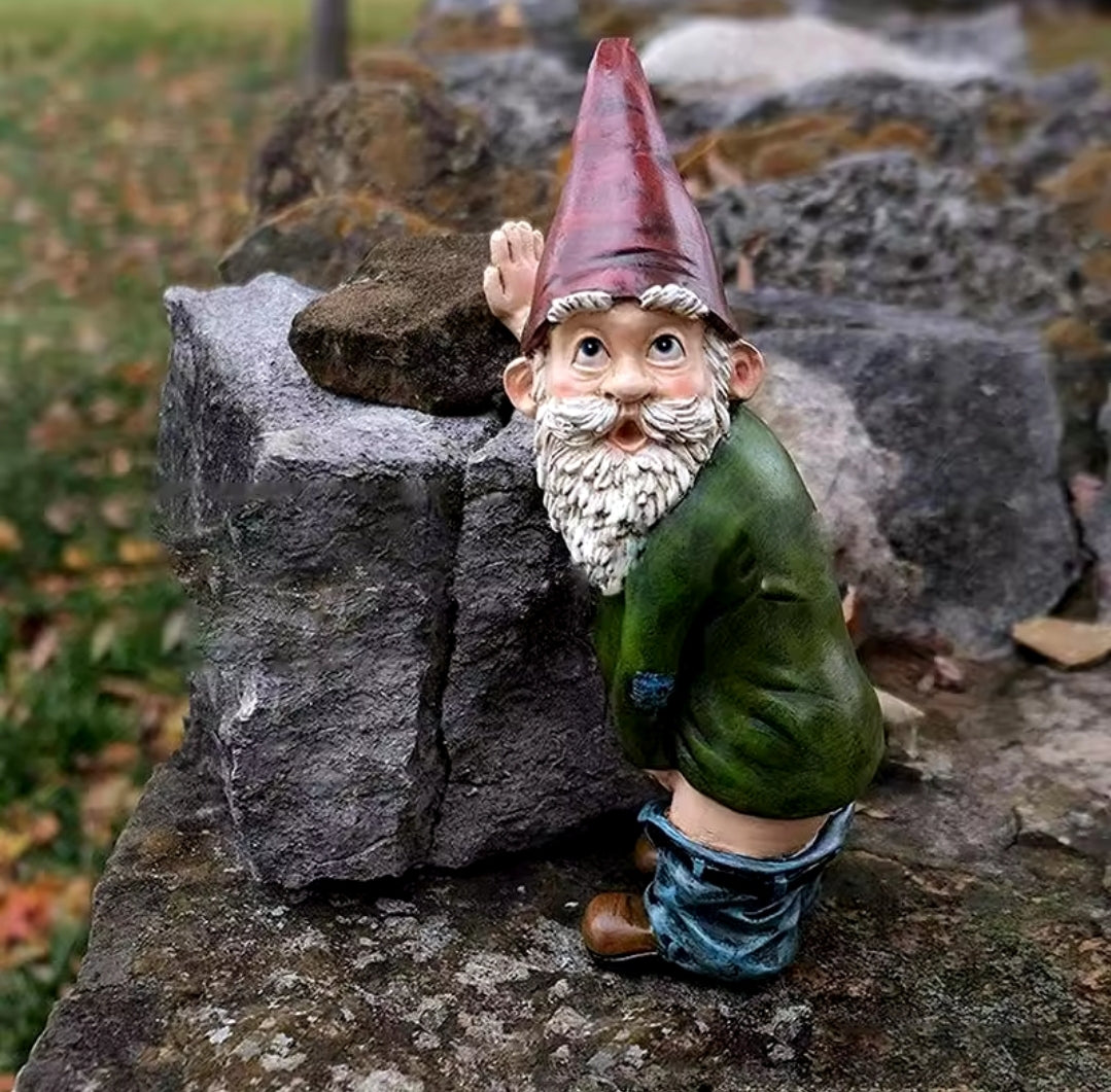 Novelty Garden Gnome