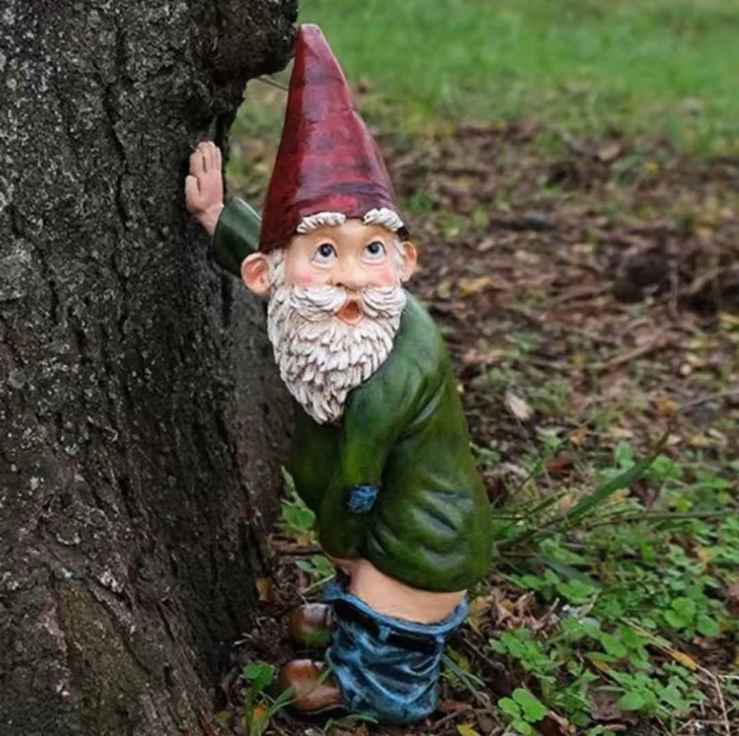 Novelty Garden Gnome