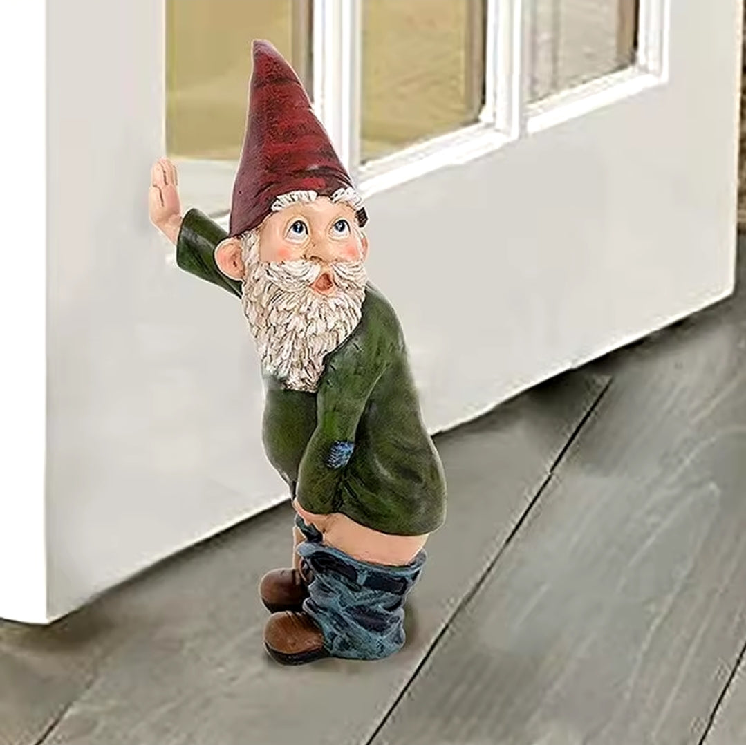 Novelty Garden Gnome