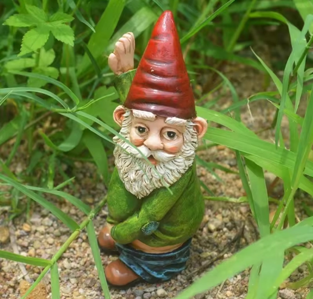 Novelty Garden Gnome