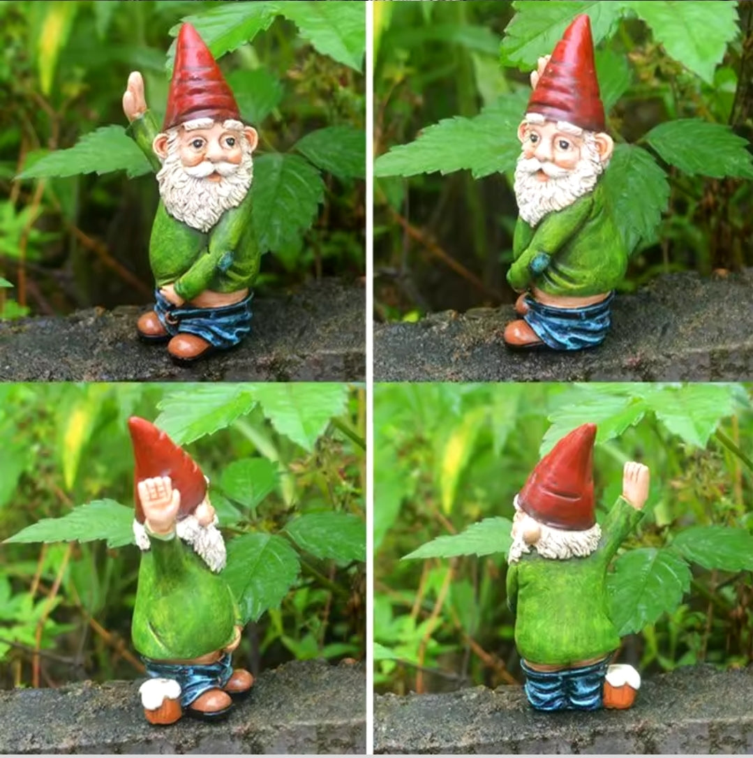 Novelty Garden Gnome