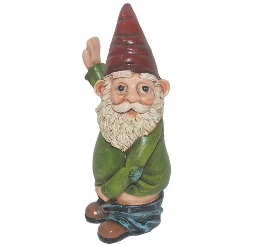 Novelty Garden Gnome