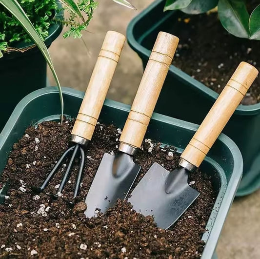 3-piece Mini Garden Tool Set