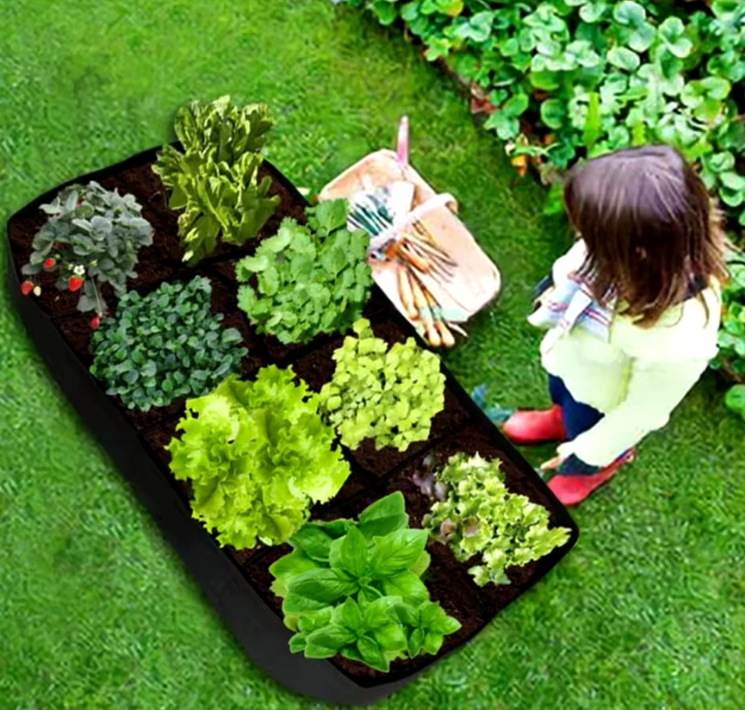 Multi-Grid Growing Bag