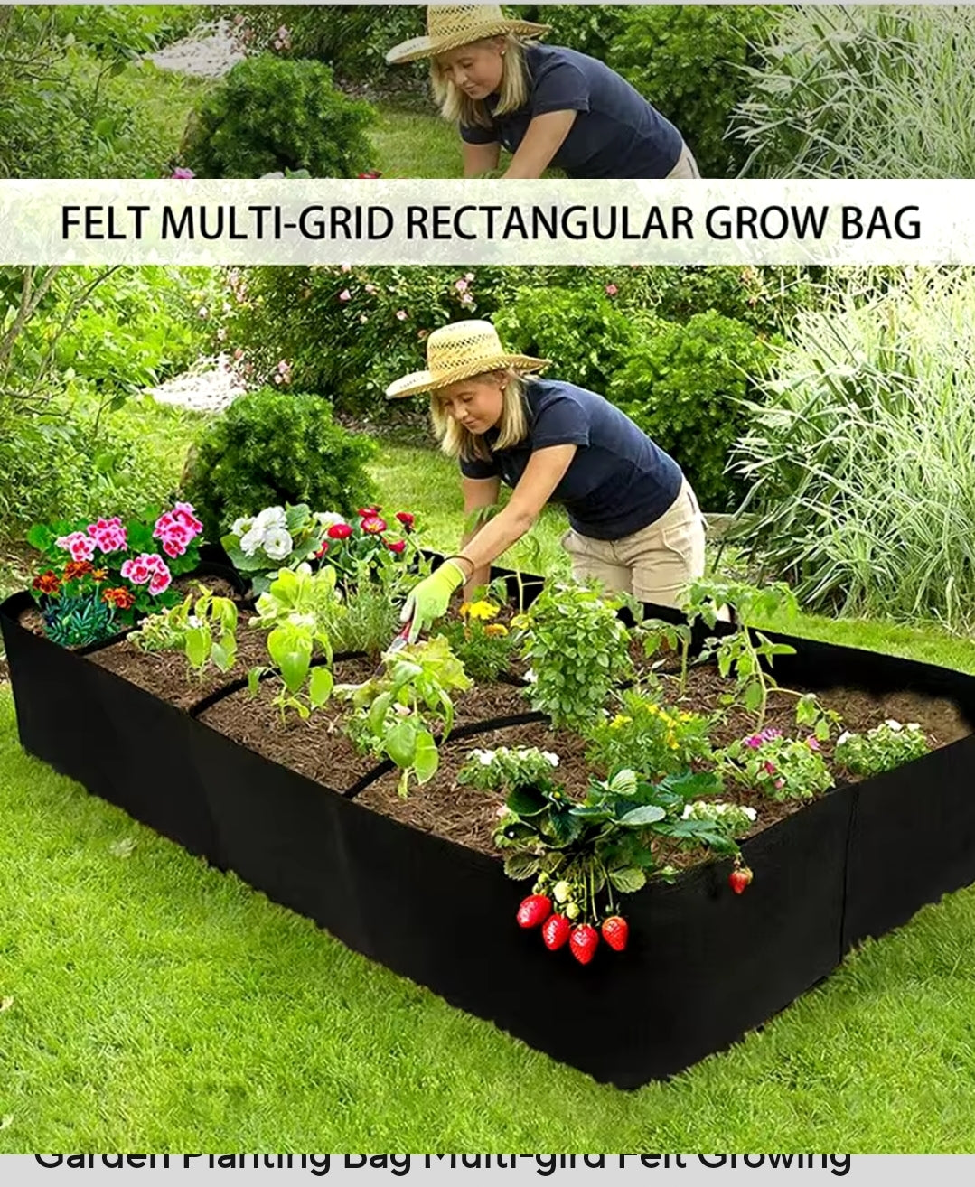 Multi-Grid Growing Bag